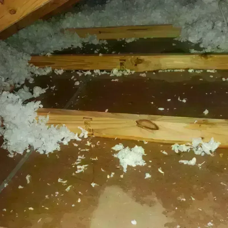 Attic Water Damage in Kane County, UT